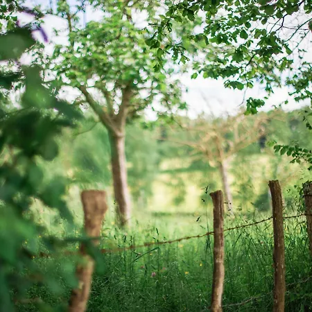 Prázdninový dům Familiale Aux Alpes Mancelles - 3 Chambres, Cheminee Et Activites Proches - Fr-1-410-149 Saint-Léonard-des-Bois