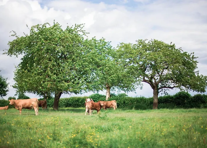 Familiale Aux Alpes Mancelles - 3 Chambres, Cheminée Et Activités Proches - Fr-1-410-149 Сasa de vacaciones